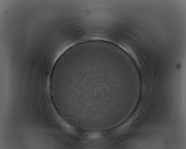 X0000093470798200710191144