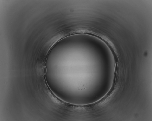 X0000093470801200710191144