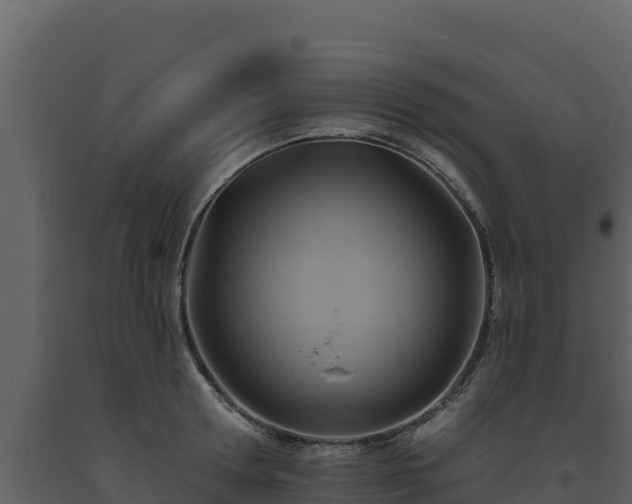 X0000093470802200710191144