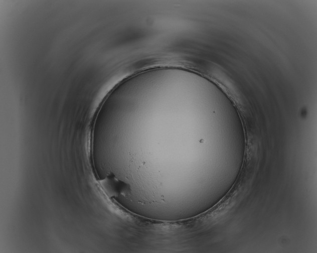 X0000093470804200710191144