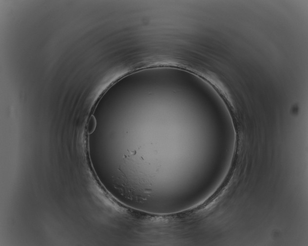 X0000093470806200710191144