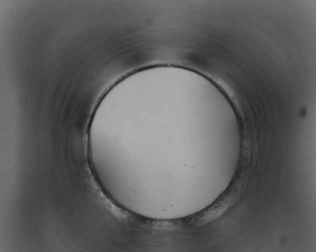 X0000093470807200710191144