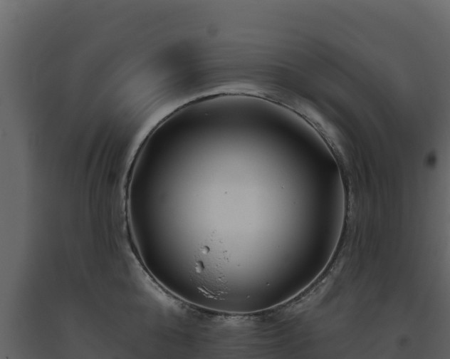 X0000093470808200710191144