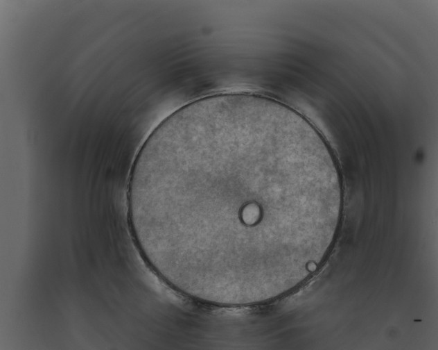 X0000093470810200710191144