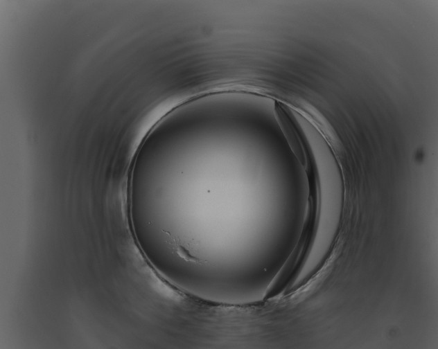 X0000093470812200710191143