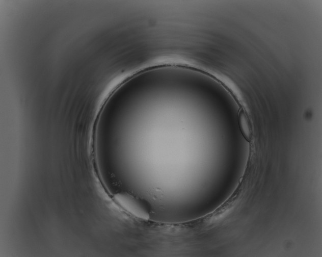 X0000093470815200710191143