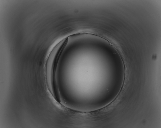 X0000093470816200710191143