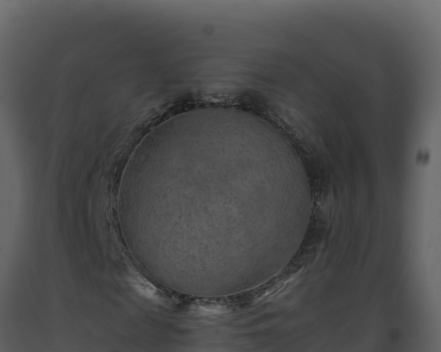 X0000093470817200710191143