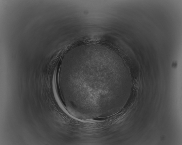 X0000093470818200710191143