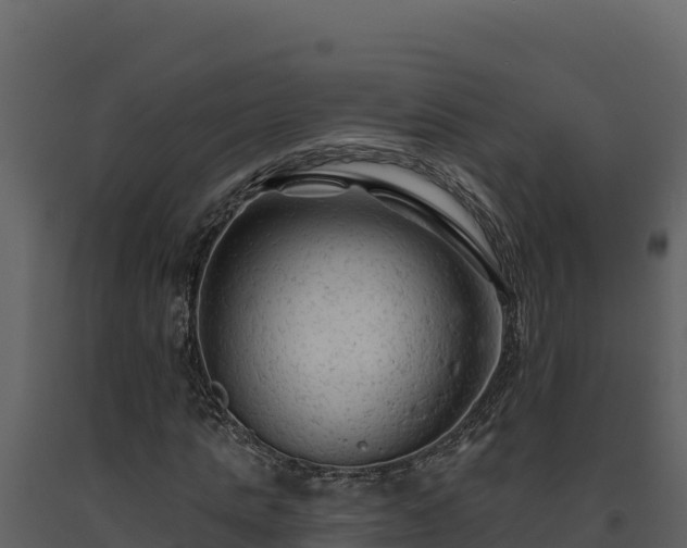 X0000093470821200710191143