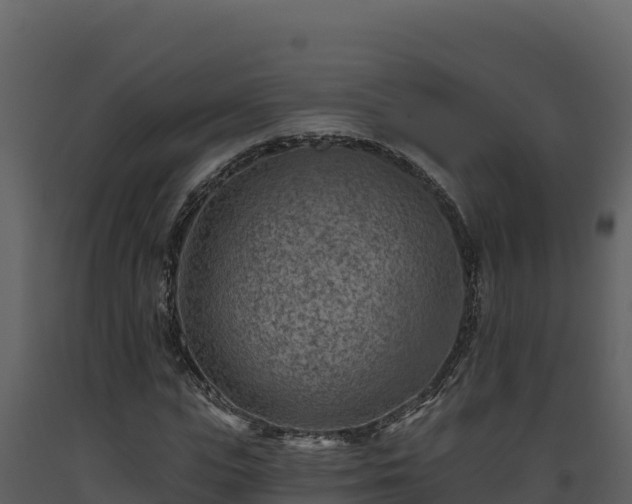 X0000093470823200710191143