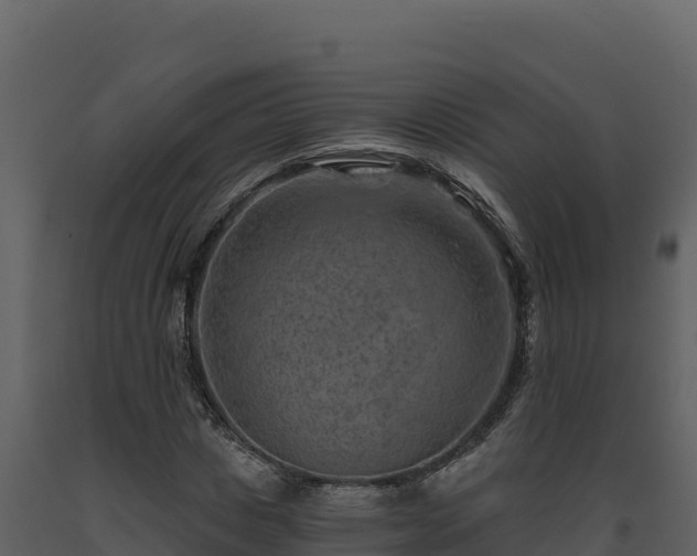 X0000093470825200710191143