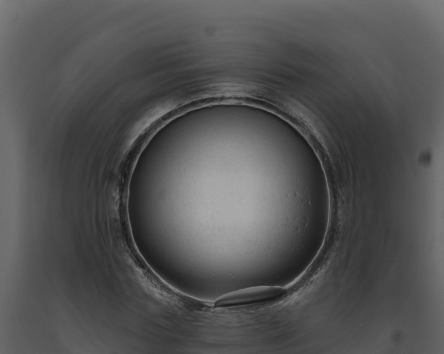 X0000093470827200710191143