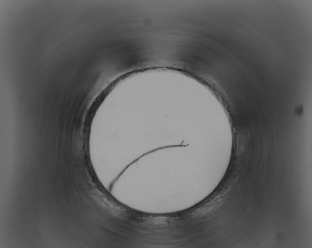 X0000093470828200710191143