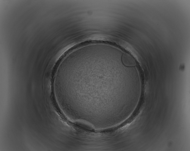 X0000093470829200710191143