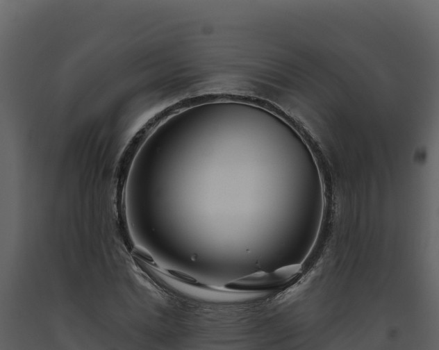 X0000093470830200710191143