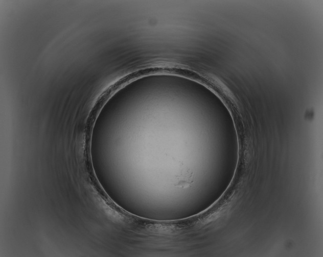 X0000093470831200710191143