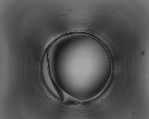 X0000093470834200710191143