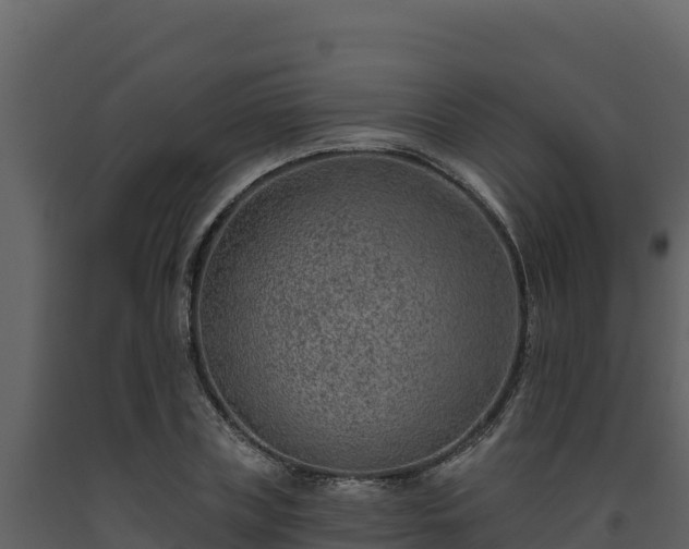 X0000093470835200710191143