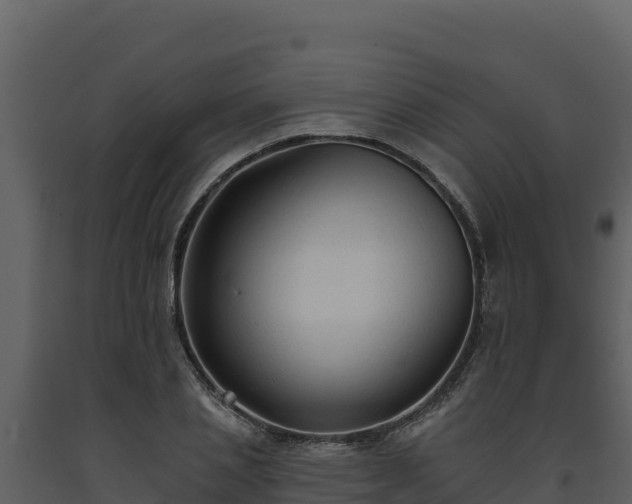 X0000093470837200710191143