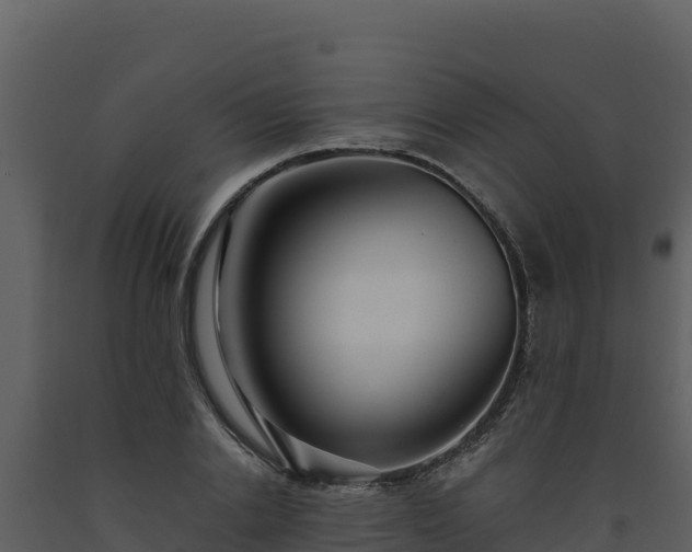 X0000093470838200710191143