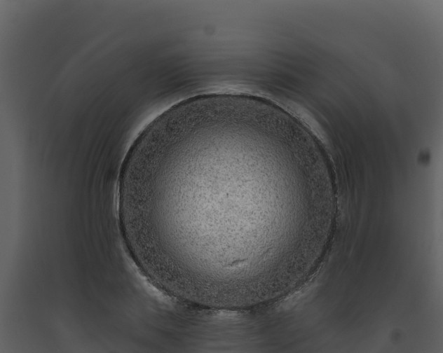 X0000093470839200710191143