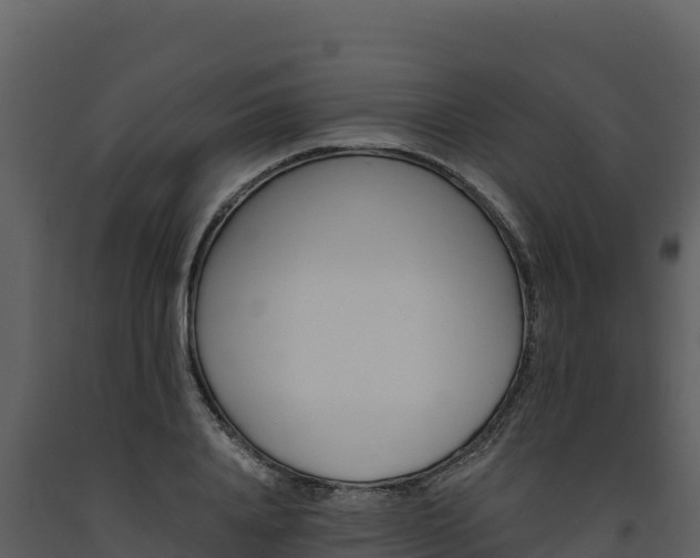 X0000093470840200710191143