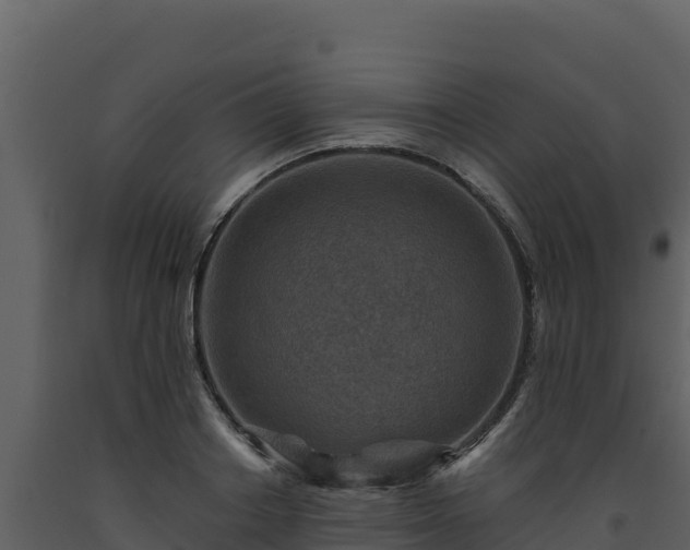 X0000093470842200710191143