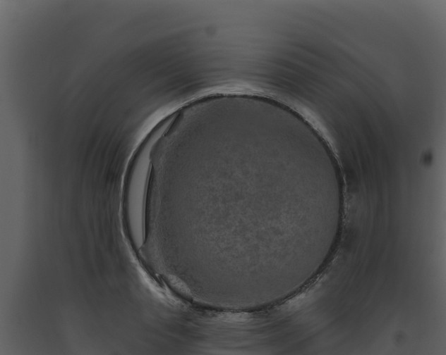 X0000093470845200710191143