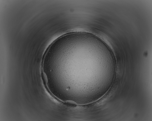 X0000093470847200710191143