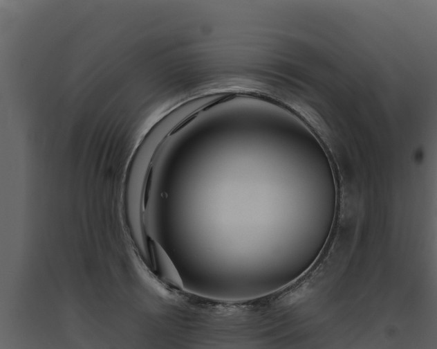 X0000093470850200710191143