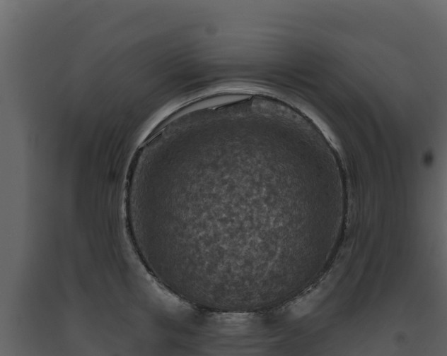 X0000093470853200710191143