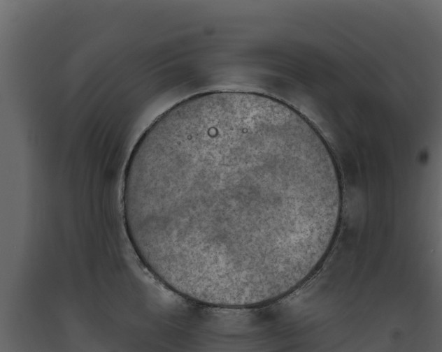 X0000093470856200710191143