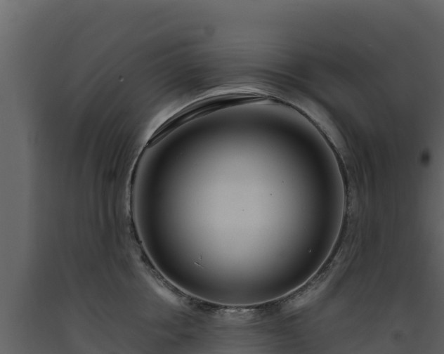 X0000093470858200710191143