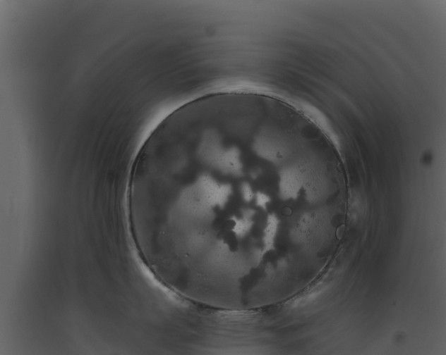 X0000093470863200710191143