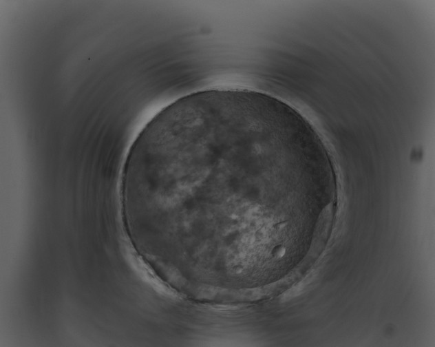 X0000093470864200710191143