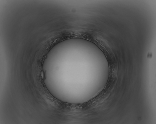 X0000093470865200710191143