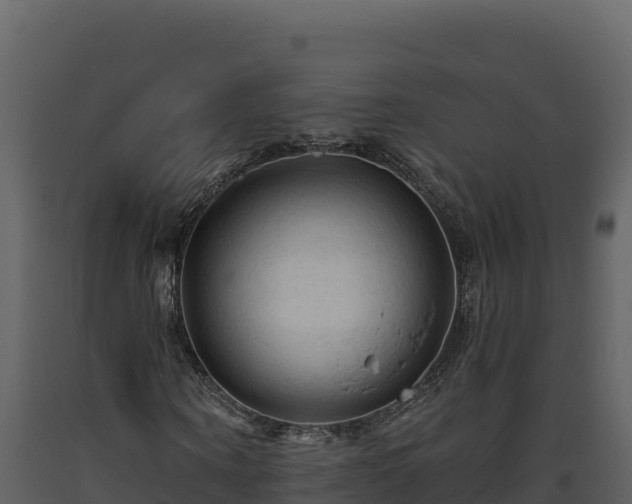 X0000093470866200710191143