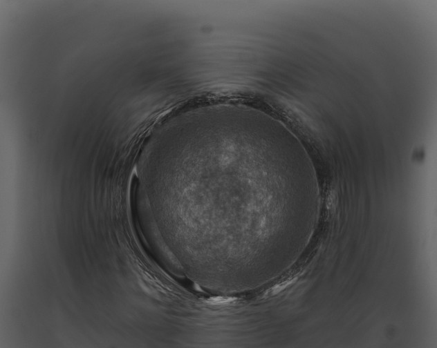 X0000093470868200710191143