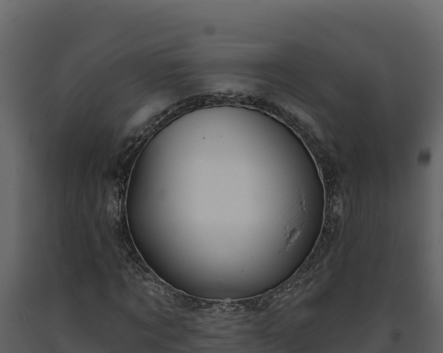 X0000093470869200710191143