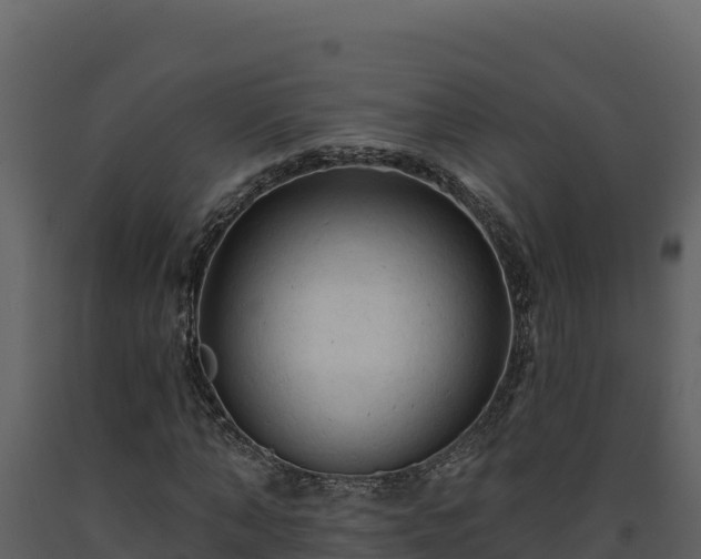 X0000093470870200710191143