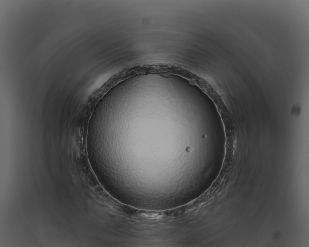 X0000093470871200710191143