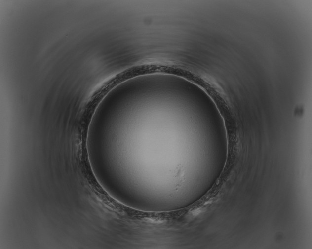 X0000093470872200710191143