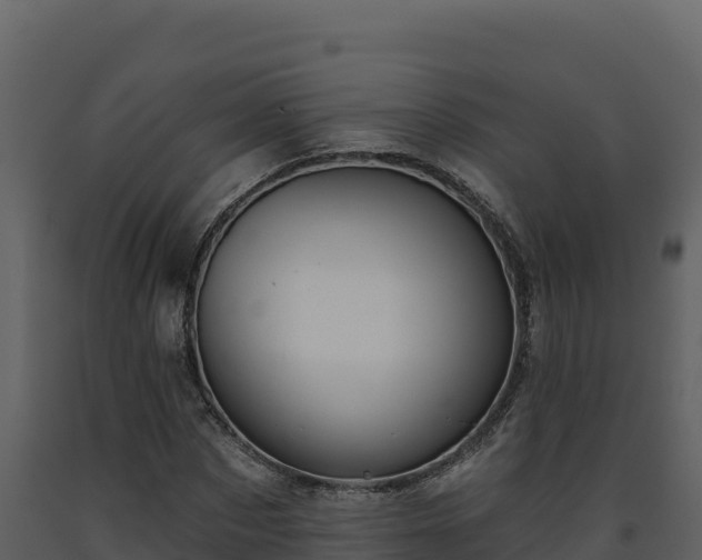 X0000093470873200710191143