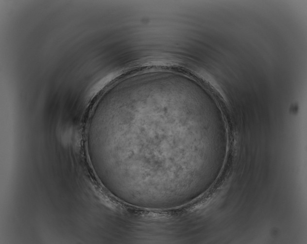 X0000093470874200710191143