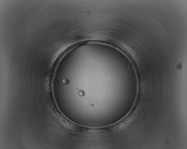 X0000093470875200710191143