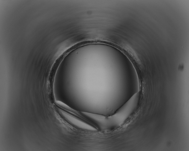 X0000093470876200710191143