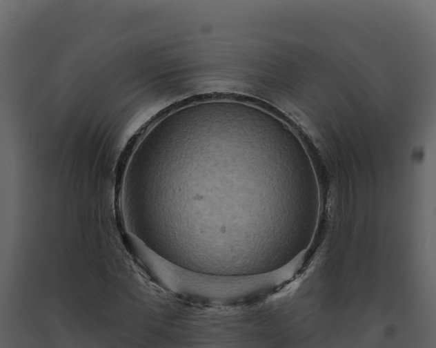 X0000093470877200710191143