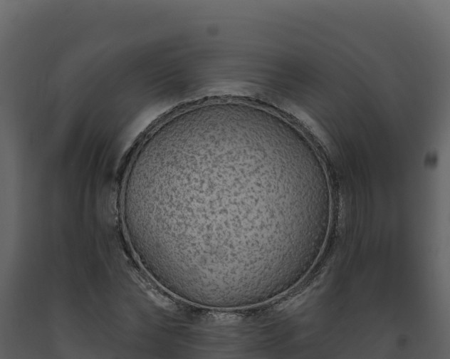 X0000093470878200710191143