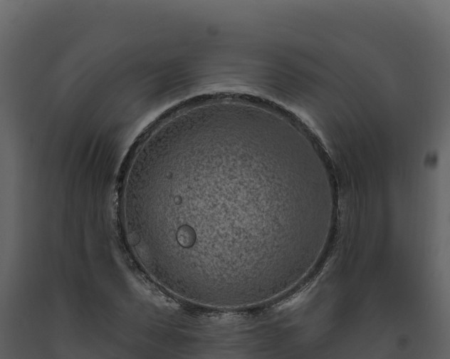 X0000093470879200710191143